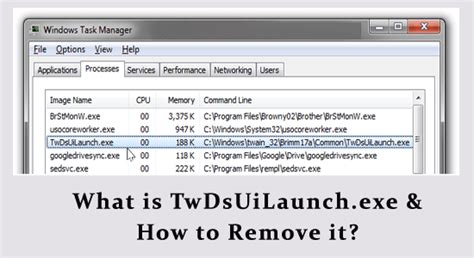 what is twdsuilaunch.exe|malware question